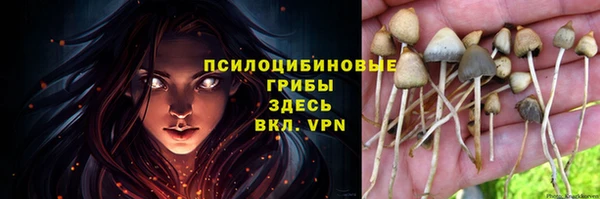 гашик Чегем