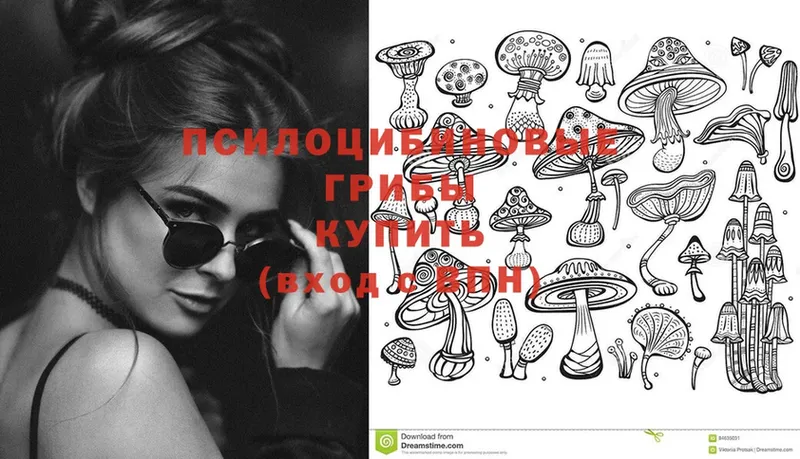 Псилоцибиновые грибы Magic Shrooms  наркотики  Электроугли 